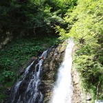 Cascada Urlatoarea